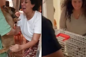 Διεθνείς πιέσεις στο Ισραήλ για την ανθρωπιστική κατάσταση στη Γάζα - Ο Μπάιντεν καταγγέλλει τους "τυφλούς βομβαρδισμούς" - εικόνα 3