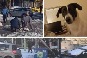 Viral: Καταπληκτικό κοριτσάκι καλύπτει τα αυτιά σκύλου για να μην φοβάται τις κροτίδες [Βίντεο] - εικόνα 2