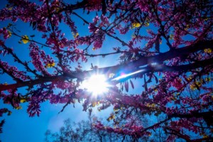 Σάκης Αρναούτογλου: Συννεφιές και θολούρα στην ατμόσφαιρα την Παρασκευή [Βίντεο]