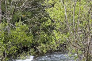 Απόκοσμες εικόνες από τη Σεβίλλη: Φωτιά σε αποθήκη χημικών - Μαύρος πυκνός καπνός "εγκλώβισε" 80.000 κατοίκους - εικόνα 5