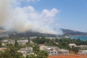 Πυρκαγιά στο Κοπανάκι Μεσσηνίας:Διάσπαρτες εστίες σε αγροτοδασική έκταση