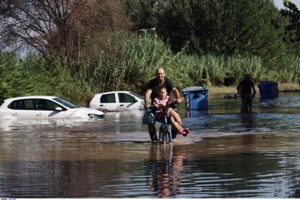 Θεσσαλία: Και ο στρατός αναλαμβάνει ενεργό ρόλο στην περισυλλογή των νεκρών ζώων