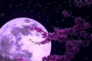 Η υπερπανσέληνος του Μαΐου πάνω από το Ναύπλιο - Μαγικές εικόνες - εικόνα 4