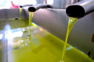 Θεσσαλονίκη: Επίθεση σε ντελιβερά με σφυρί και κατσαβίδι- "Φοβήθηκα για τη ζωή μου" [βίντεο]