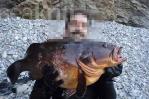 Χαμός σε πτήση προς το Ηράκλειο: Μεθυσμένες τουρίστριες επιτέθηκαν σε επιβάτη και δάγκωσαν αστυνομικό