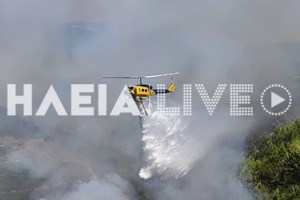 Φωτιά στην Κρήτη: Σε εξέλιξη πυρκαγιά στο Κορακοβούνι Ηρακλείου - Κοντά σε σπίτια - εικόνα 2