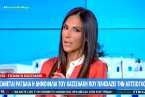 Στέφανος Κασσελάκης: Το μίνιμαλ διαμέρισμα του συντρόφου του, Τάιλερ στη Νέα Υόρκη [Εικόνες] - εικόνα 7