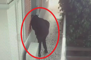 Ηράκλειο: Χειροπέδες σε τρεις άντρες για κλοπές χρημάτων και ηλεκτρικών συσκευών