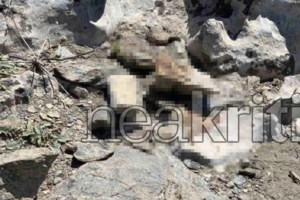 Μακρυχέρηδες έκλεβαν τουρίστες στην Πλάκα – 55χρονη είχε κρύψει κλοπιμαία στο στόμα και τα μαλλιά της