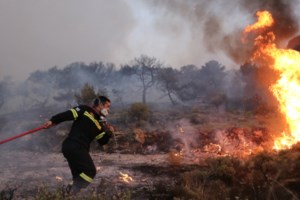 Μαραθώνας: Οριοθετήθηκε η φωτιά - Μεγάλη κινητοποίηση της Πυροσβεστικής
