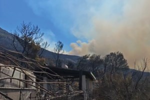 Φωτιά στη Δυτική Αττική: Βελτιωμένη η εικόνα από τα πύρινα μέτωπα - "Κανένας εφησυχασμός" ξεκαθαρίζει ο Αρτοποιός - εικόνα 2