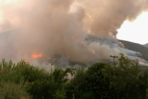 Φωτιά στη Ρόδο: Αναζωπύρωση στην περιοχή Καλαμώνας - εικόνα 2