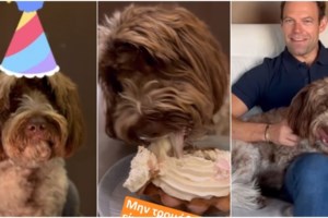 Γεωργιάδης για ΣΥΡΙΖΑ: Από τον Άρη Βελουχιώτη και τον ΕΛΑΣ, στα γενέθλια της Φάρλι