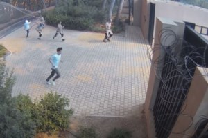 Κόντρα Μενδώνη - Σκουρολιάκου για Τατόι: "Έγιναν ενέργειες που περιόρισαν τις ζημιές από τη φωτιά"