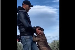 Θρήνος στη Ζάκυνθο για την 35χρονη νηπιαγωγό που πέθανε: Τριήμερο πένθος στις σχολικές μονάδες