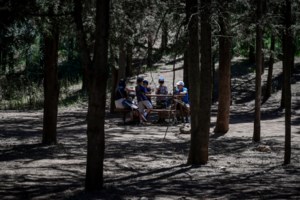 Συναγερμός σε θάλασσες και παραλίες της Εύβοιας – Γέμισαν με μωβ μέδουσες [εικόνες] - εικόνα 5