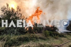 Μεγάλη φωτιά στη Ρόδο: Εκκενώθηκαν σχολεία στην κοινότητα Σορωνή