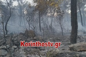 Μεγάλη πυρκαγιά στον Ξερόκαμπο Σητείας - Στην περιοχή πνέουν θυελλώδεις άνεμοι - εικόνα 2