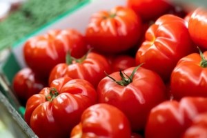 Χαλβάς: Διατροφική αξία, τα οφέλη για τον οργανισμό και πότε γίνεται θερμιδική "βόμβα"