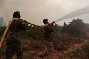 Φωτιά ξέσπασε κοντά στο Νοσοκομείο Χαλκίδας: Στην περιοχή πνέουν ισχυροί άνεμοι [Εικόνες βίντεο]