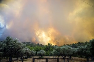 Οριοθετήθηκε η φωτιά στην Κορώνη: Έγινε σημαντική κινητοποίηση της Πυροσβεστικής
