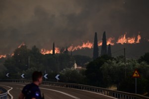 Σε τρία μέτωπα η ανεξέλεγκτη φωτιά στη Ρόδο: Εκκενώνονται τρεις οικισμοί και ξενοδοχείο - Ένας τραυματίας [εικόνες] - εικόνα 2