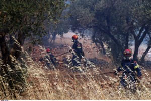 Ατύχημα με jet ski στη Χερσόνησο: Στο νοσοκομείο 54χρονη τουρίστρια - Δύο συλλήψεις