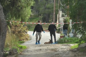 Σαλαμίνα: Μαρτυρικός ο θάνατος της 75χρονης - Ανοιχτό το ενδεχόμενο οι δράστες να είναι κοντά στο περιβάλλον της - εικόνα 2