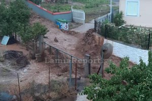 Κακοκαιρία "Ιανός": "Σφυροκοπήθηκε" και η Ηλεία - Καταστροφές με πτώσεις δέντρων και διακοπές ηλεκτροδότησης σε πολλές περιοχές