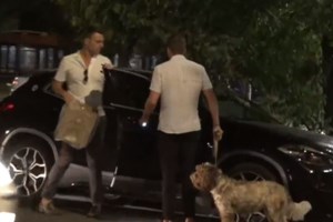 Έκκληση Τεμπονέρα να πέσουν οι τόνοι: Στον ΣΥΡΙΖΑ δεν υπάρχουν ούτε φυτευτοί ούτε προδότες ούτε υπονομευτές