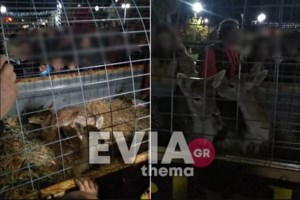 Ερέτρια: "Δεν έγινε καμία έκρηξη στο σχολείο, ένα δυναμιτάκι πέταξαν στις τουαλέτες" - εικόνα 2