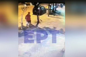 Θεσσαλονίκη: Στα ίχνη του άνδρα που σκότωσε γατάκι οι Αρχές - Είχε κακοποιήσει και στο παρελθόν ζώο - εικόνα 2