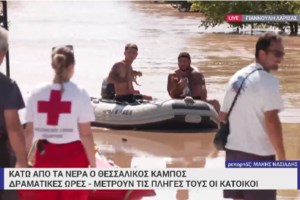 Βόλος: Ολική καταστροφή στο καταφύγιο της Φιλοζωικής Ομάδας από την κακοκαιρία Daniel [εικόνες] - εικόνα 5