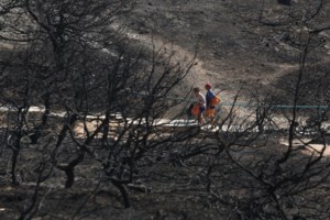 Δίκη για το Μάτι - Καταπέλτης ο πραγματογνώμονας: Σημαντικές παραλείψεις στην πρόληψη και διαχείριση της φωτιάς