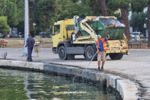 Βόλος: Μεγάλο πλήγμα στον τουρισμό από τα νεκρά ψάρια - Κατέβηκαν 6 γαλάζιες σημαίες από παραλίες της περιοχής [εικόνες - βίντεο] - εικόνα 2