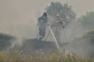 Φωτιά ξανά στο Σχινιά δίπλα από το κωπηλατοδρόμιο - Mεγάλη επιχείρηση της Πυροσβεστικής - εικόνα 2