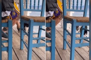 Πυρ και μανία ο Νίκος Ευαγγελάτος για το γατάκι στην Αιδηψό: "Οι μάγκες της φακής" φώναζε στην εκπομπή του - εικόνα 3