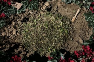 Μια μεσαιωνική υπόθεση κληρονομικών διεκδικήσεων στο Άγιο Όρος: Η Δίκη της Μονής Δοχειαρίου του 1361 - εικόνα 2