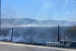 Συναγερμός για φωτιά σε αγροτοδασική έκταση στον Έβρο - Σηκώθηκαν εναέρια μέσα