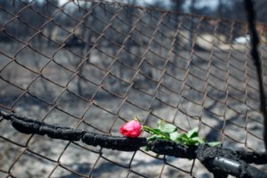 Φωτιά στο Μάτι - Μητσοτάκης: "Δεν ξεχνάμε τους νεκρούς, στις φλόγες της ανεπάρκειας και τις στάχτες της συγκάλυψης" - εικόνα 3