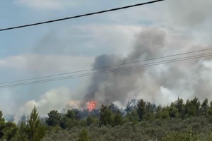 Σοκάρει ο 14χρονος για τη φωτιά στον Θεολόγο: "Έβαζα φωτιές γιατί μου άρεσε να βλέπω φλόγες και καπνούς"