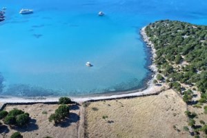 ΥΠΟΙΚ: Τα μέτρα για τους πληγέντες της φονικής πλημμύρας στην Εύβοια - εικόνα 5