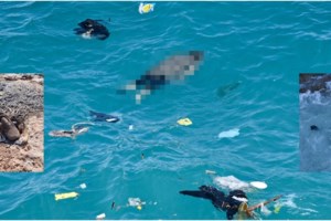 Σοκάρουν οι μαρτυρίες από το ναυάγιο στη Λέσβο: "Σώθηκα με το σωσίβιο ενός νεκρού!" - εικόνα 2