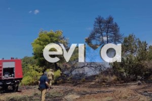 Οριοθετήθηκε η φωτιά στην Αργολίδα: Πλησίασε σε κατοικημένη περιοχή