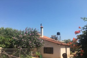 Τραγωδία στη Σκύρο: 49χρονη πέθανε μπροστά στα μάτια των παιδιών και του συζύγου της