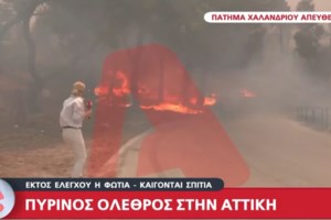 Φωτιά στην Αττική: Εφιαλτικές εικόνες στο Εθνικό Αστεροσκοπείο Αθηνών στην Πεντέλη - Κινδύνευσαν οι εγκαταστάσεις - εικόνα 4