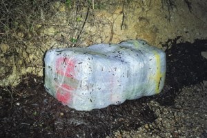 Κεφαλονιά: Στο φως κύκλωμα που διακινούσε κοκαΐνη και χασίς