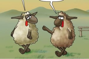 Θα έριχναν 11 τόνους σάπιου κρέατος  στην αγορά ενόψει του Πάσχα - Η μεγαλύτερη ποσότητα που έχει κατασχεθεί μέχρι τώρα - εικόνα 7