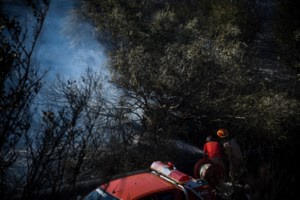 Φωτιά στην Ξάνθη: Στη μάχη με τις φλόγες δύο αεροσκάφη και 12 πυροσβέστες