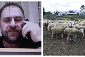 ΟΠΕΚΕΠΕ: Νέοι διάλογοι με αναφορές σε Κέλλα και Βορίδη - Τα κλειδωμένα ΑΦΜ και τα "ρουσφετάκια" - εικόνα 2